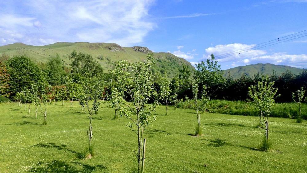 Doonans Cottage Maybole 외부 사진